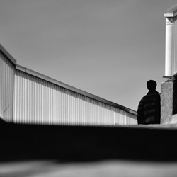 dailyPhoto8